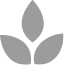 BMS Blüte Icon grau