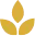 BMS Blüte Icon Gold
