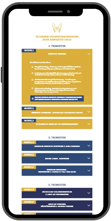 BMS School Master auf Mobile