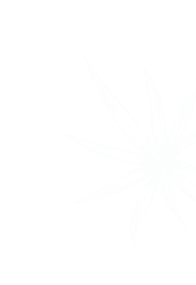 Illustration einer Jungelpflanze