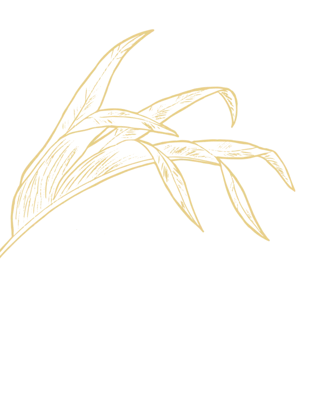 Illustration einer Jungelpflanze